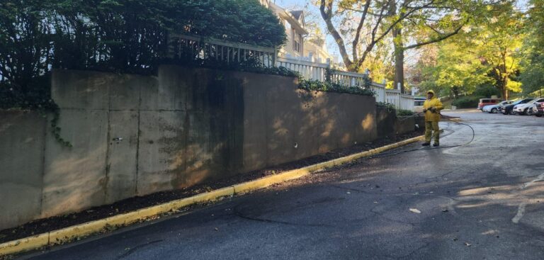 7 Things Hiding on Your Walls That Only Power Washing Can Fix