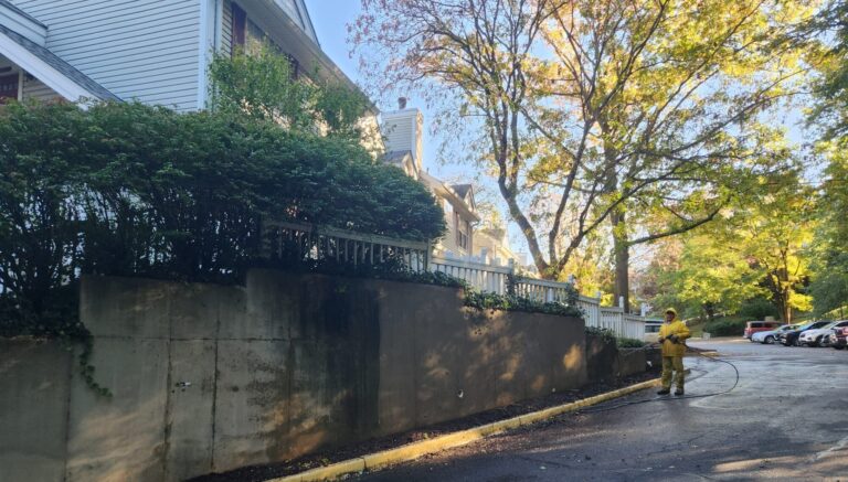 7 Things Hiding on Your Walls That Only Power Washing Can Fix